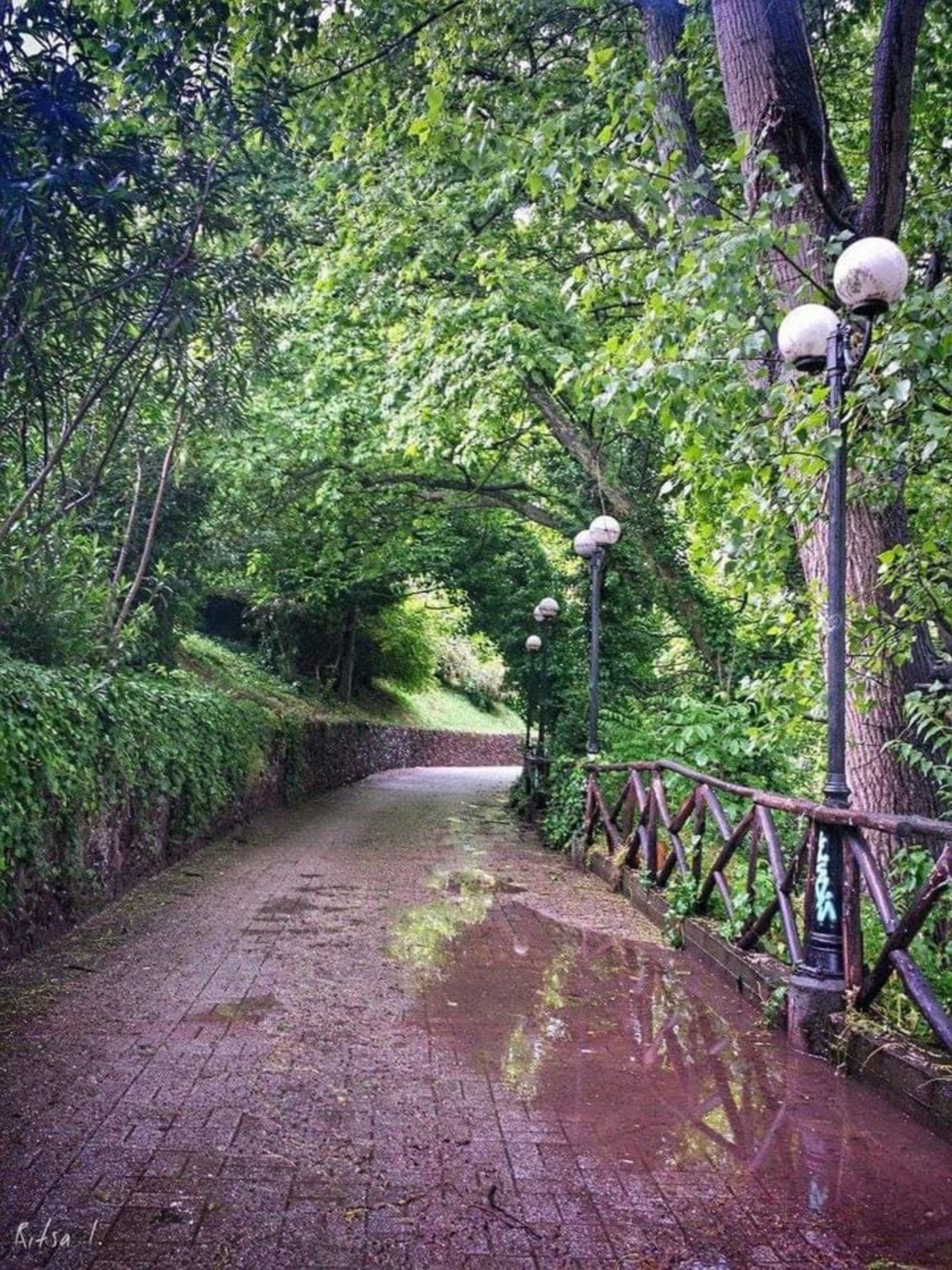 Park mit regennassem Weg
