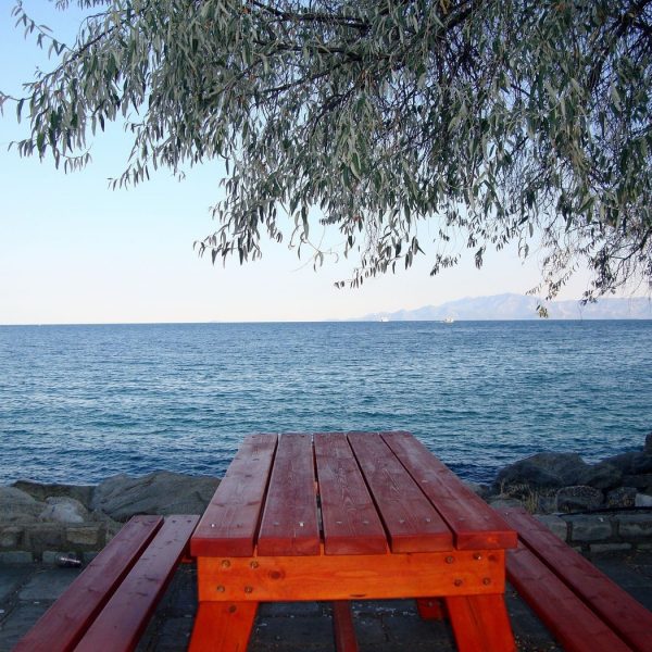 Roter Tisch mit roten Bänken, dahinter das Meer, Olivenbaumzweig