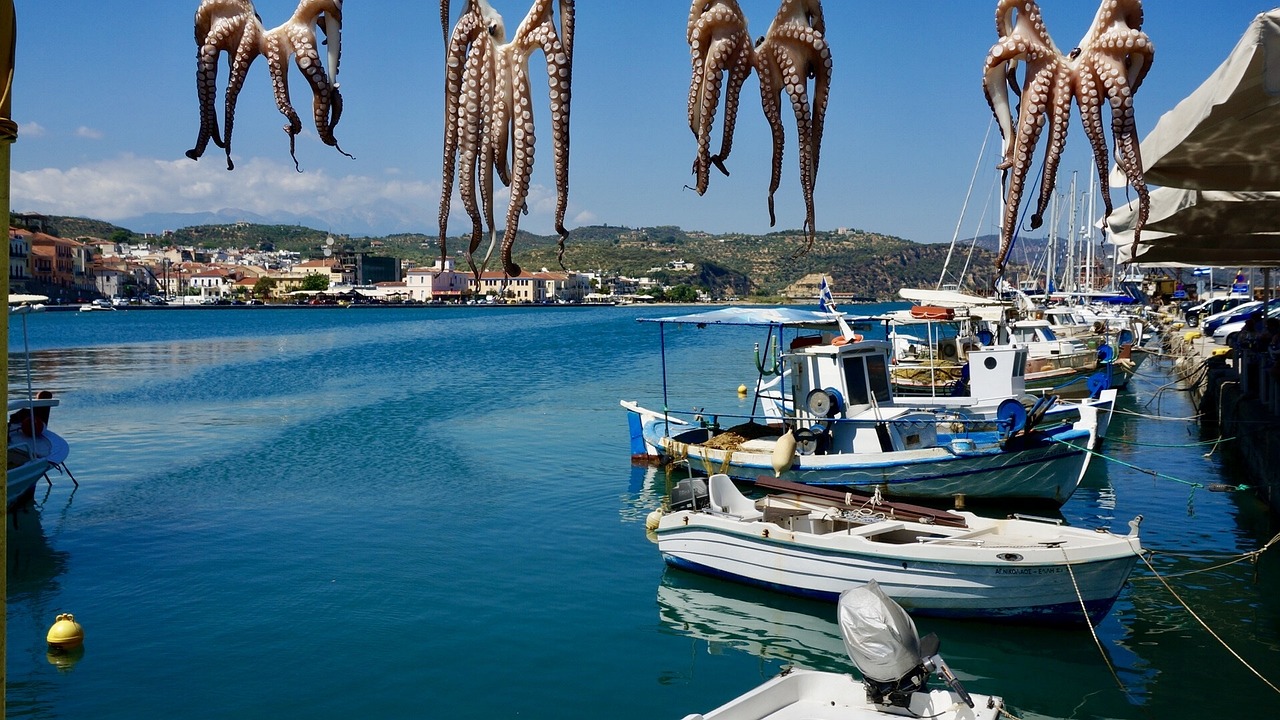 Blick auf Hafen mit Booten, Oktopusse zum Trocknen aufgehängt. Tag, Sonnenschein, menschenleer